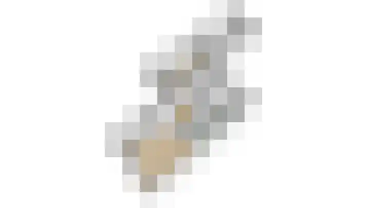 Speenkruid 28 Rijssen thumbnail 65