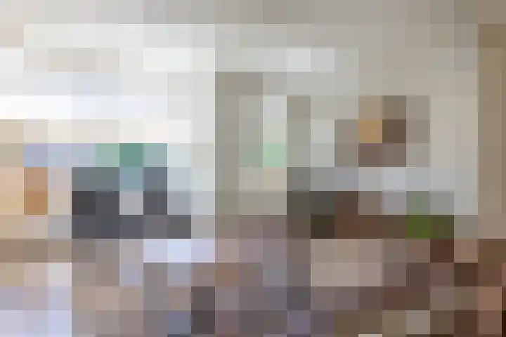Speenkruid 28 Rijssen thumbnail 8