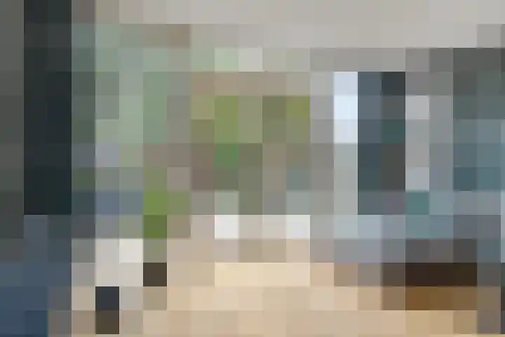 Speenkruid 31 Purmerend thumbnail 11