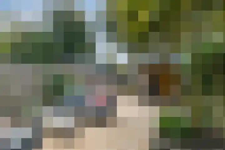 Speenkruid 31 Purmerend thumbnail 29