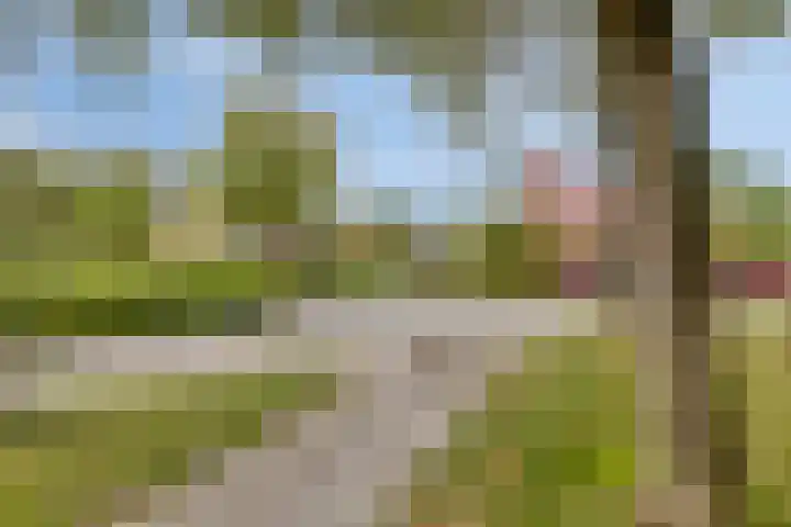Speenkruid 31 Purmerend thumbnail 37