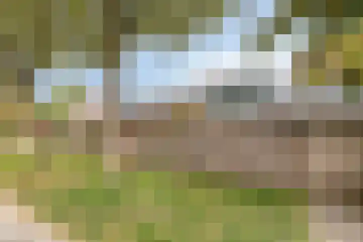 Speenkruid 31 Purmerend thumbnail 38