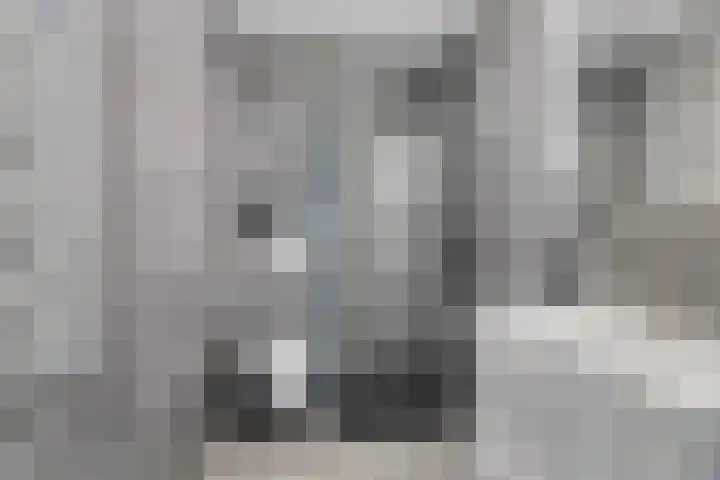 Speenkruid 31 Purmerend thumbnail 4