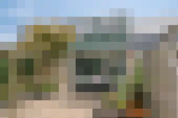 Speenkruid 31 Purmerend thumbnail 5