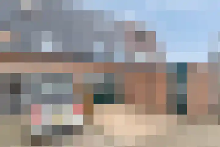 Speenkruid 31 Purmerend thumbnail 6