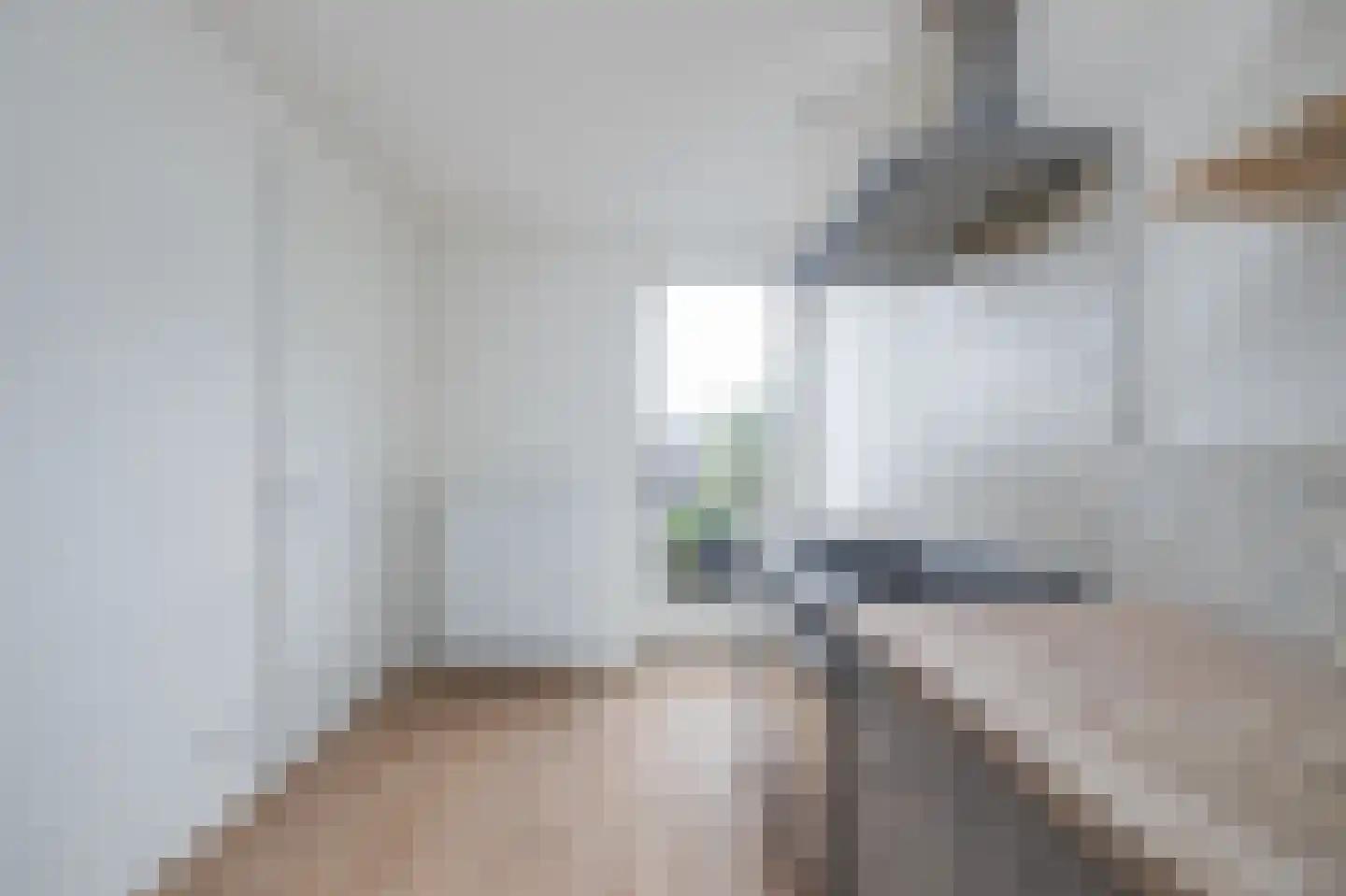 Speenkruid 34 Pijnacker thumbnail 10