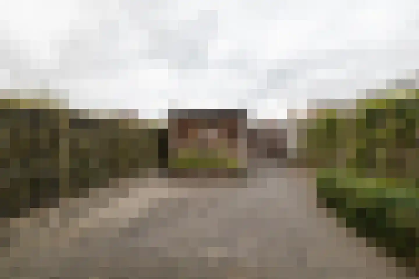 Speenkruid 34 Pijnacker thumbnail 20
