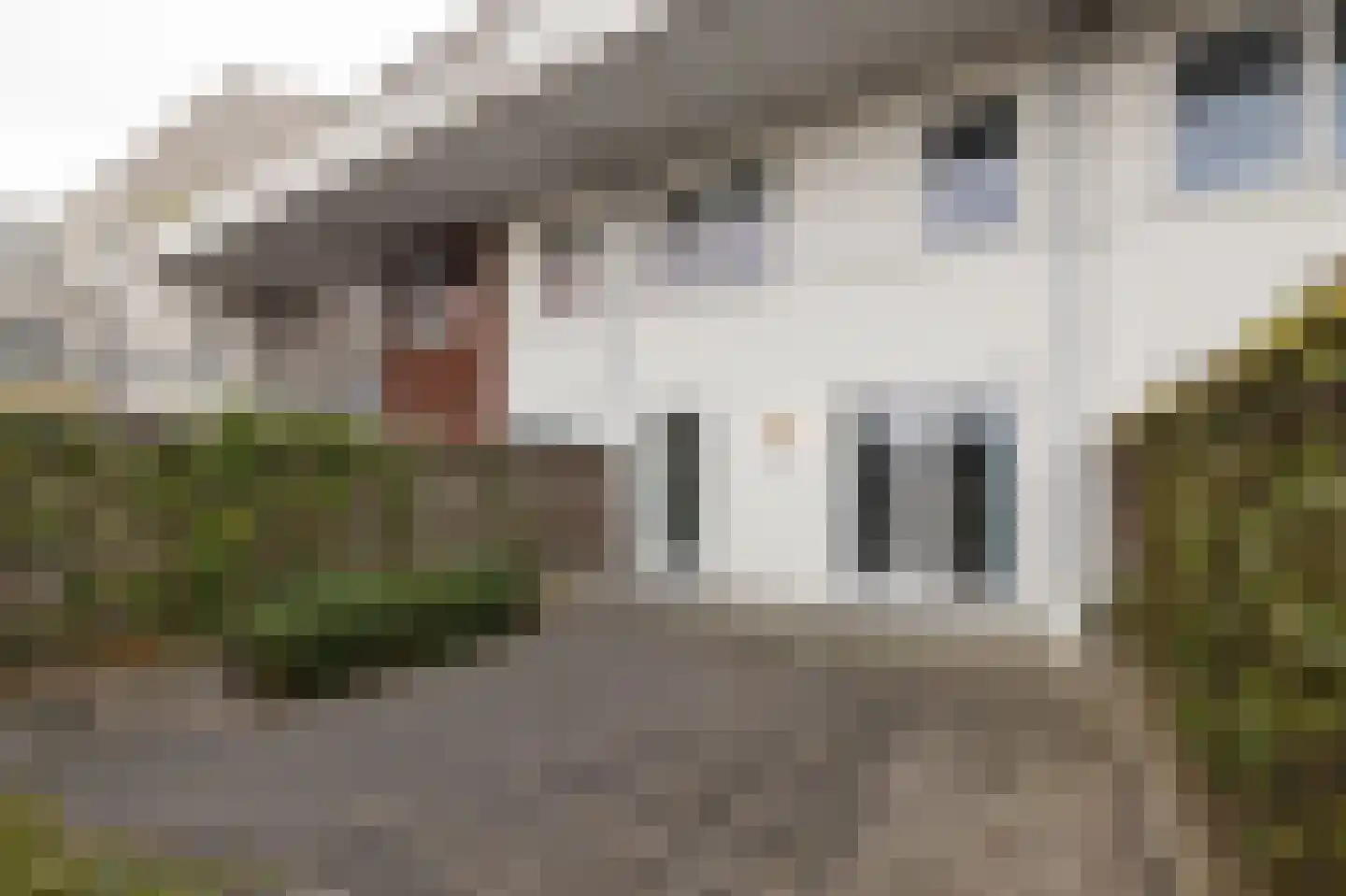 Speenkruid 34 Pijnacker thumbnail 21