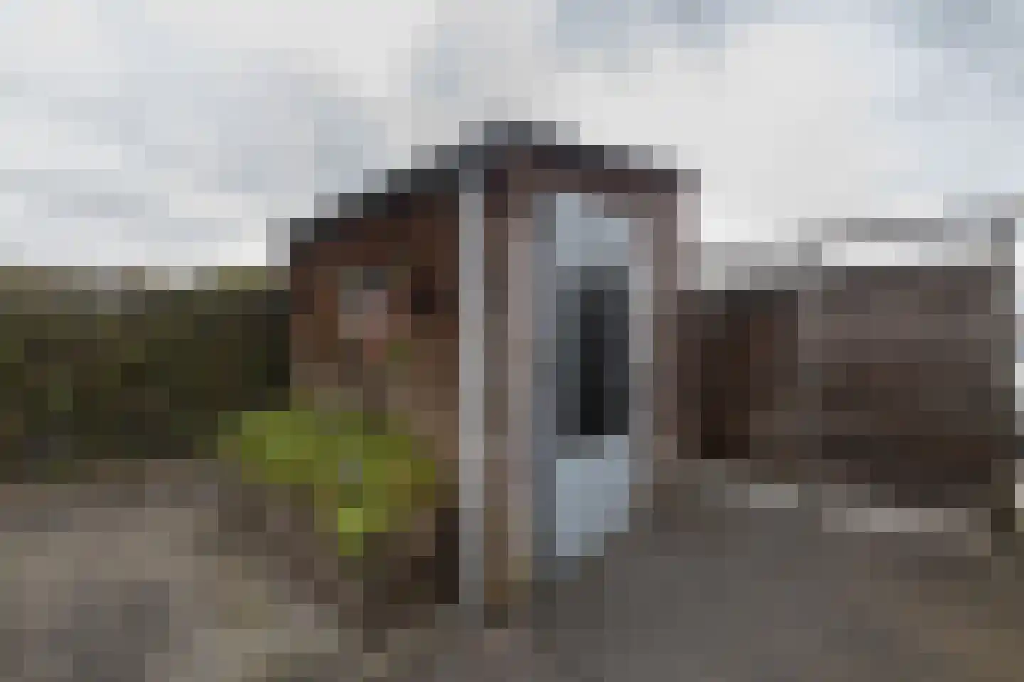 Speenkruid 34 Pijnacker thumbnail 22