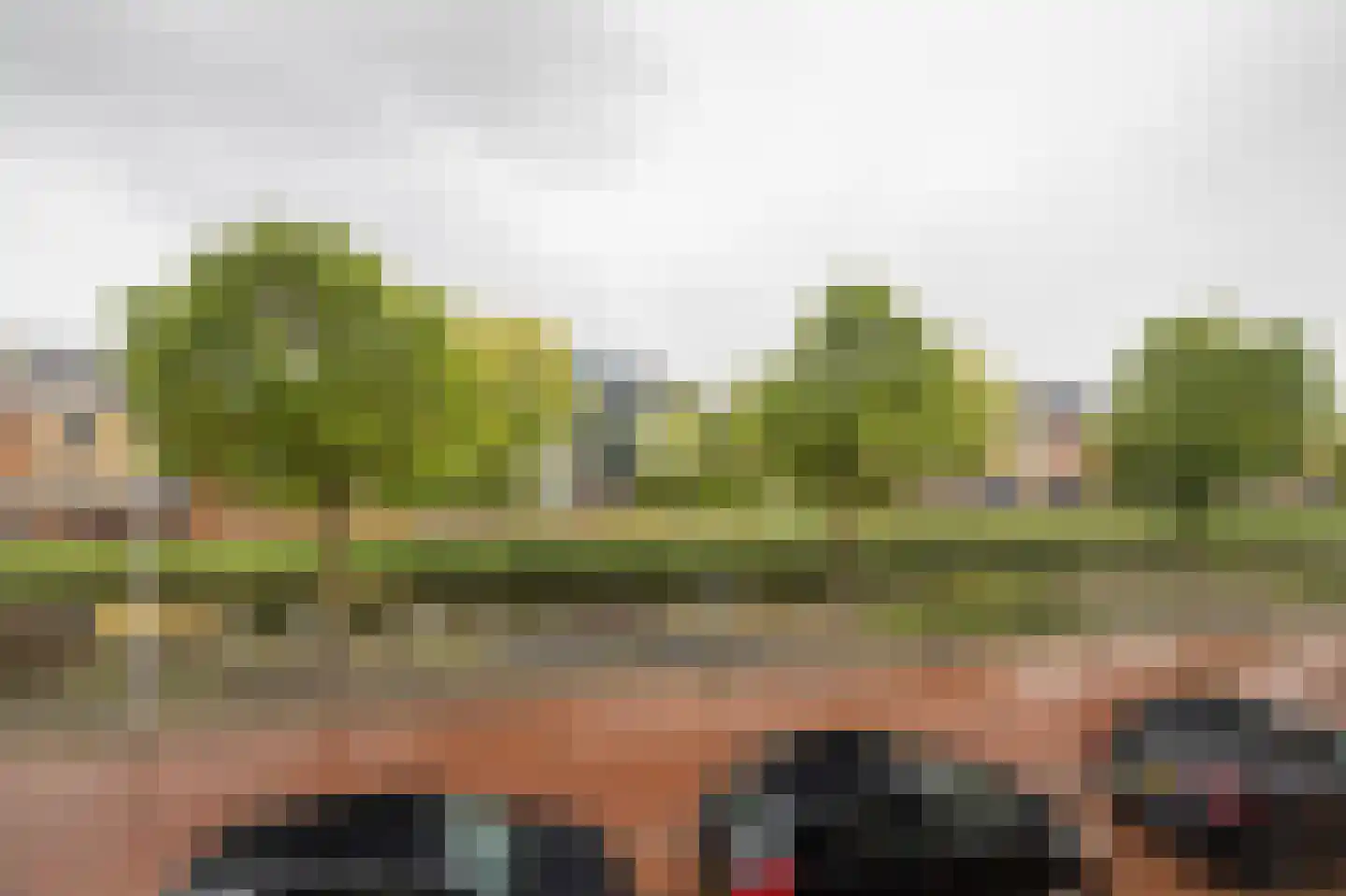 Speenkruid 34 Pijnacker thumbnail 6