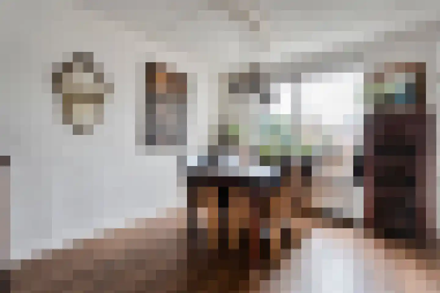 Speenkruid 35 Beilen thumbnail 11