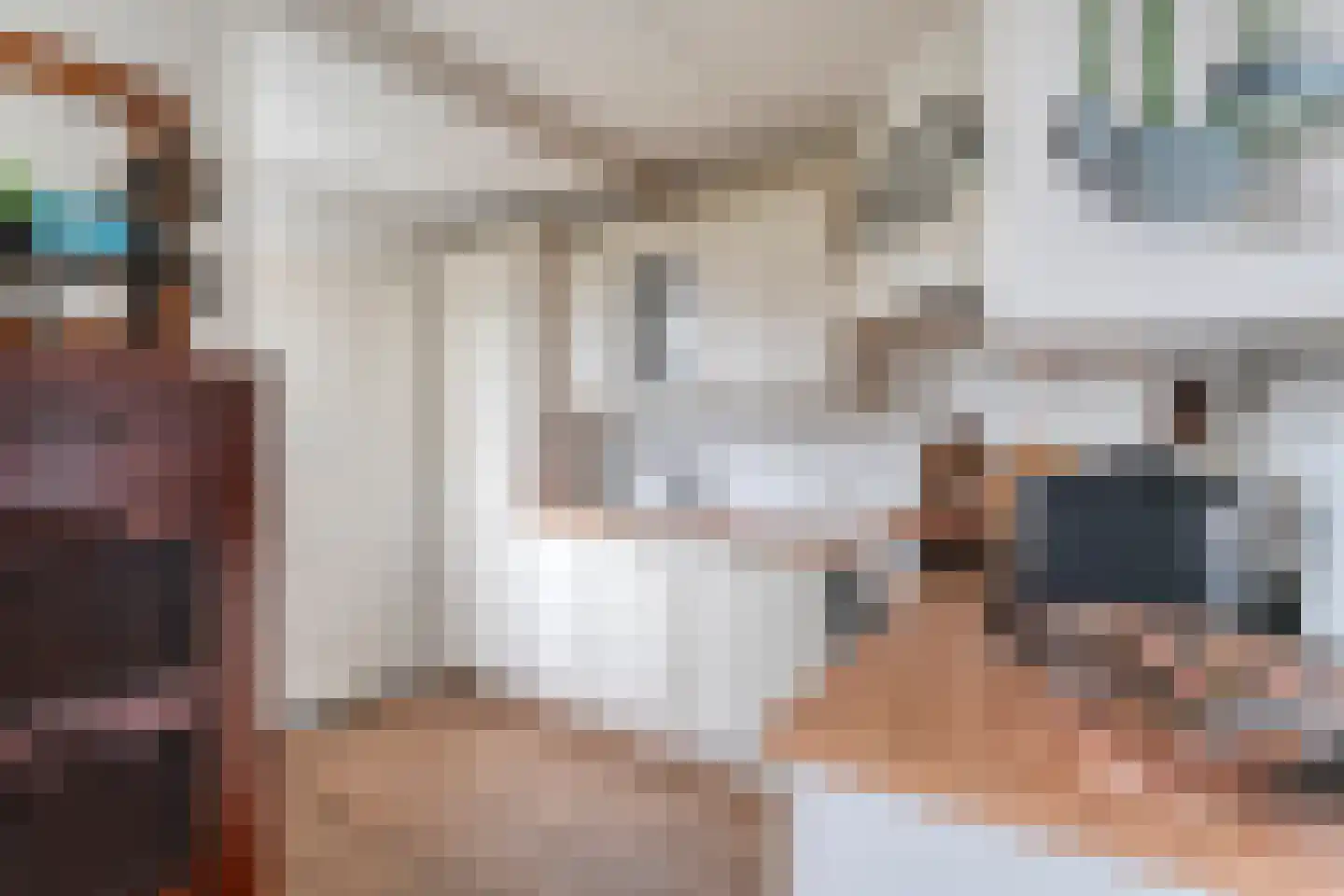 Speenkruid 35 Beilen thumbnail 13
