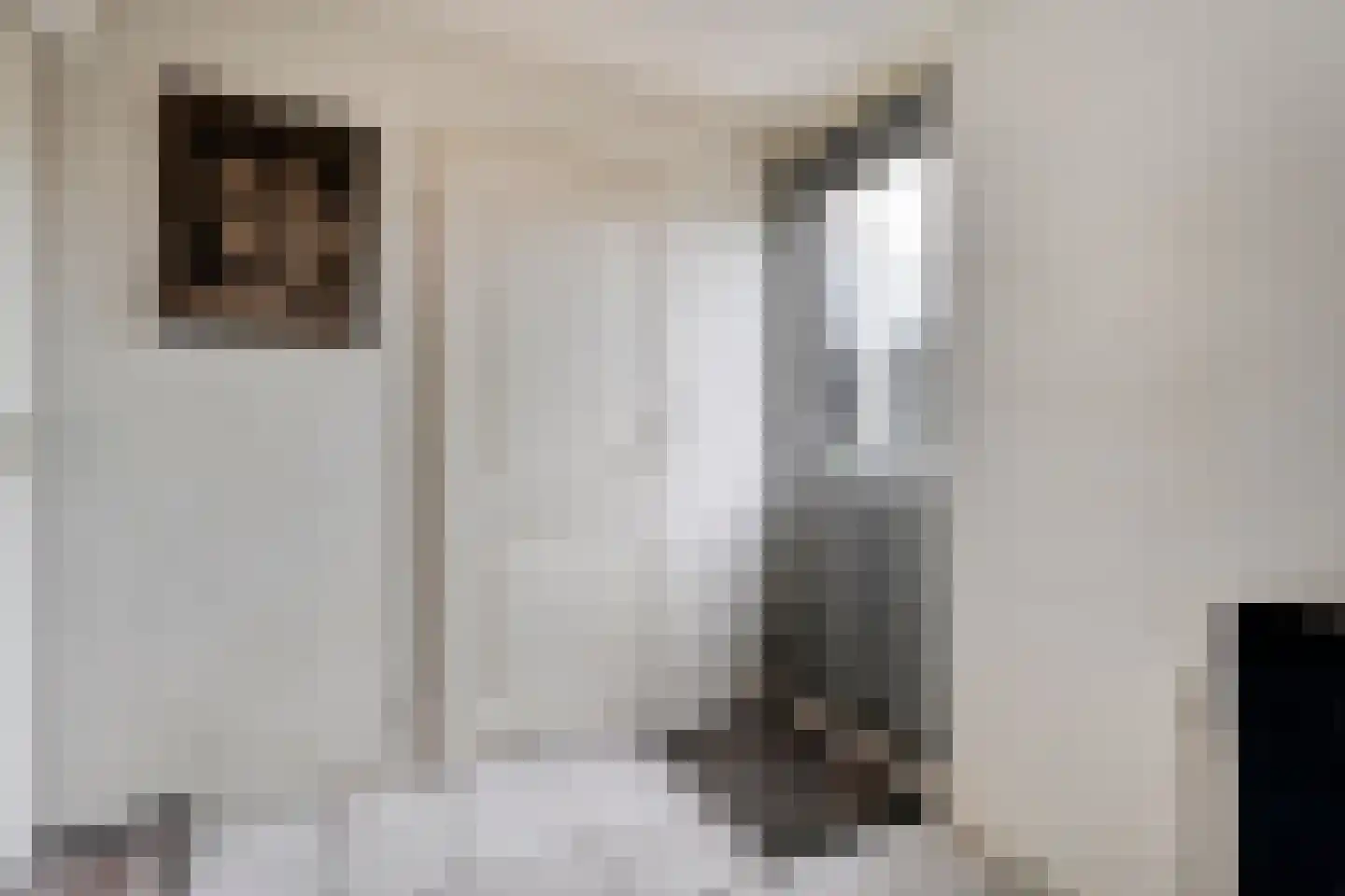 Speenkruid 35 Beilen thumbnail 18
