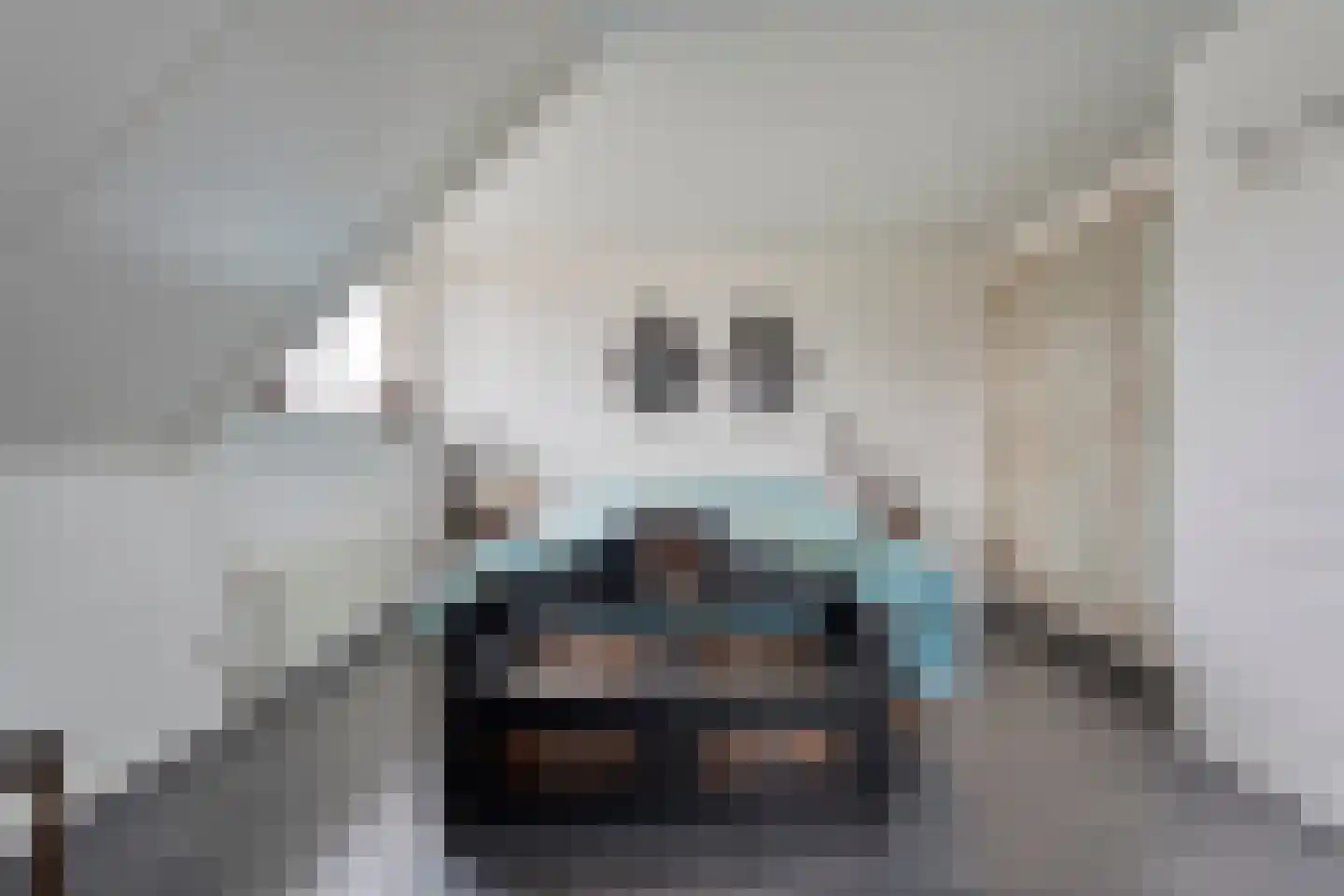 Speenkruid 35 Beilen thumbnail 23