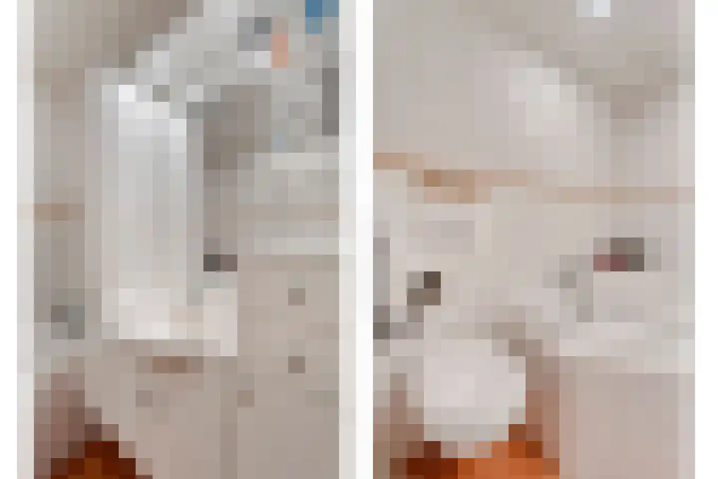 Speenkruid 35 Beilen thumbnail 29