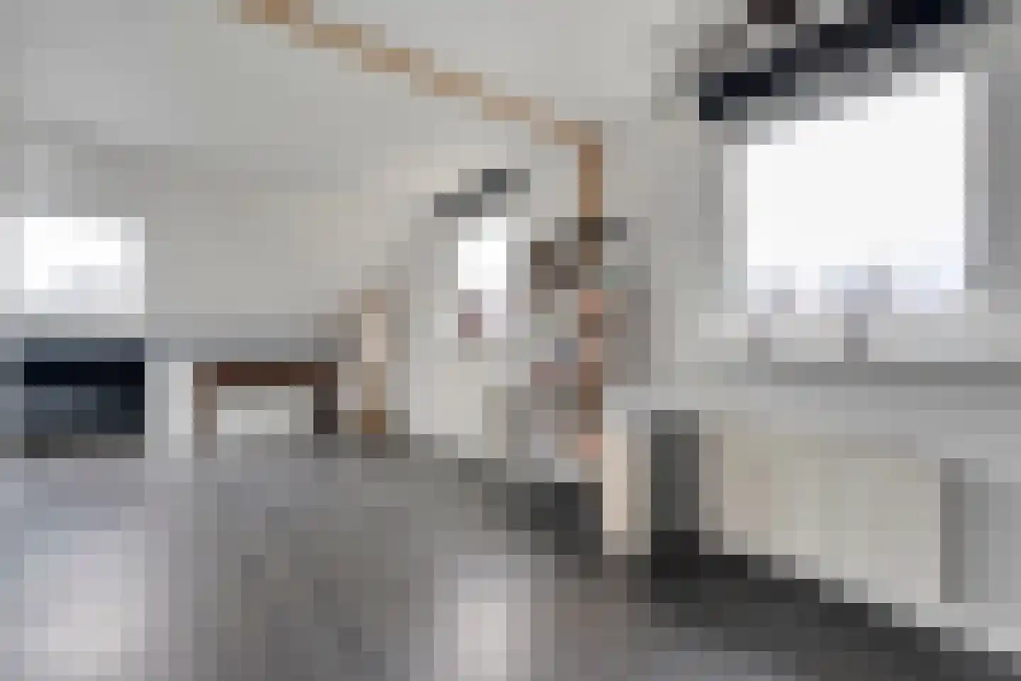 Speenkruid 35 Beilen thumbnail 30