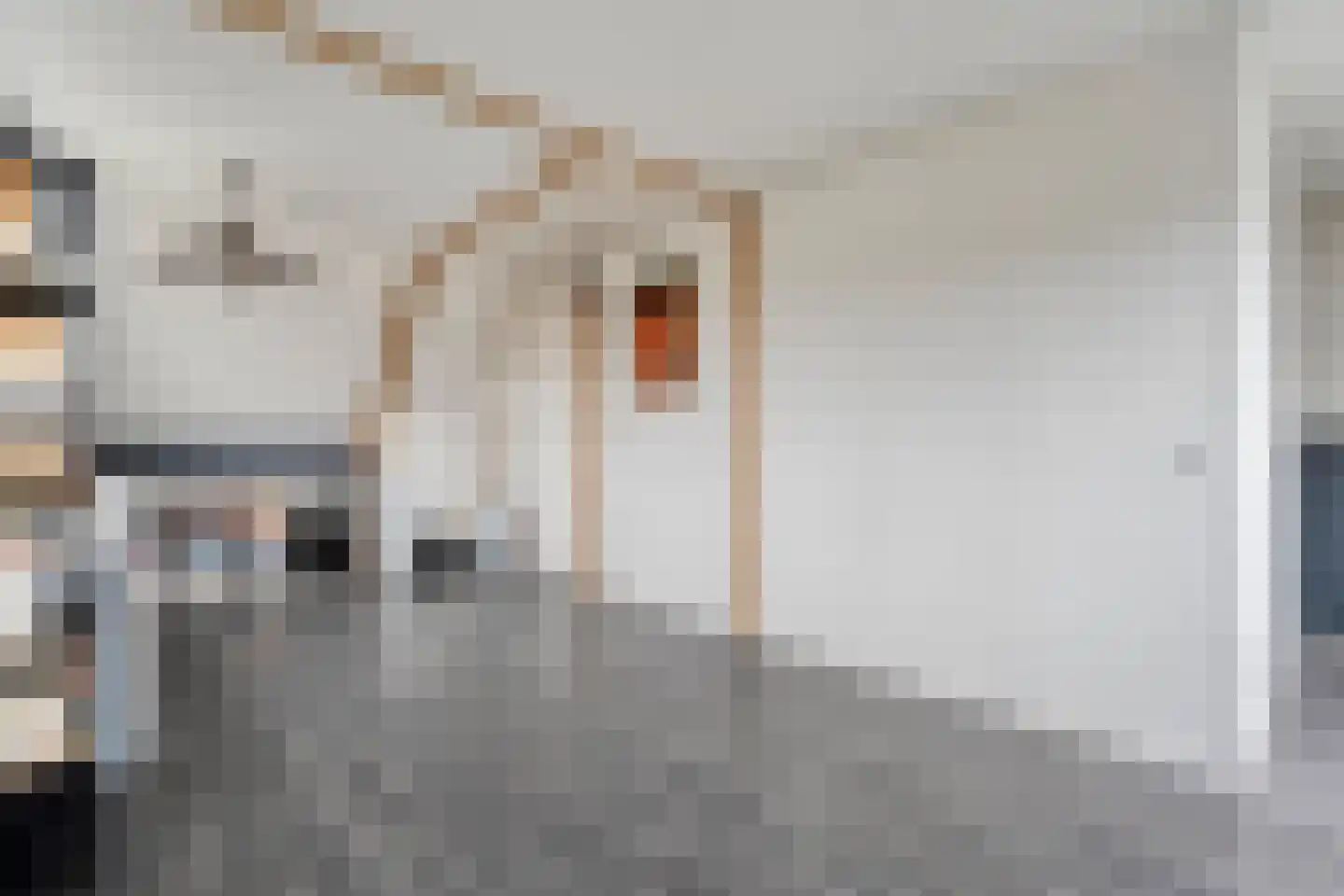 Speenkruid 35 Beilen thumbnail 31