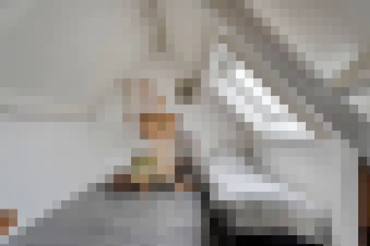 Speenkruid 35 Beilen thumbnail 34