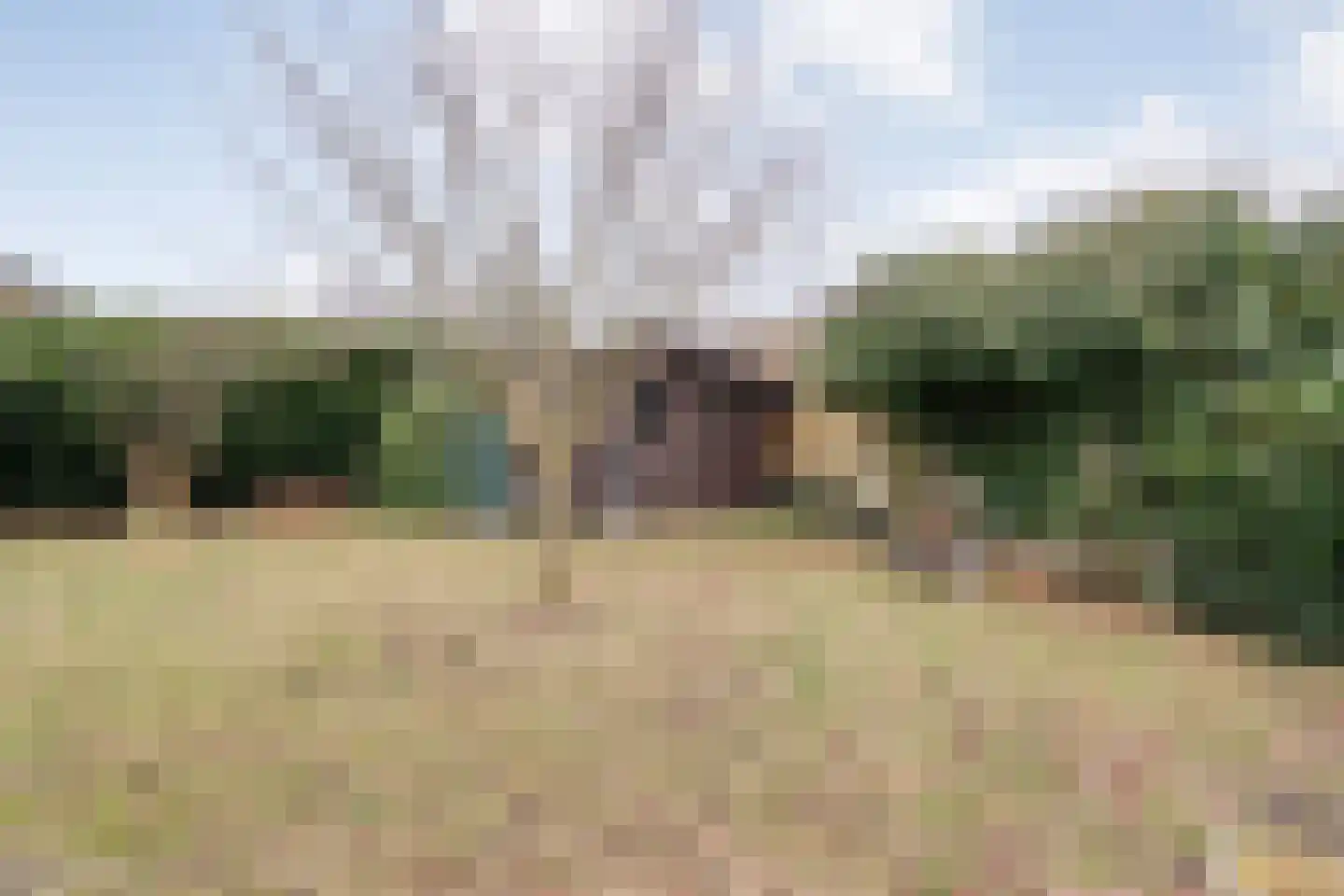 Speenkruid 35 Beilen thumbnail 37