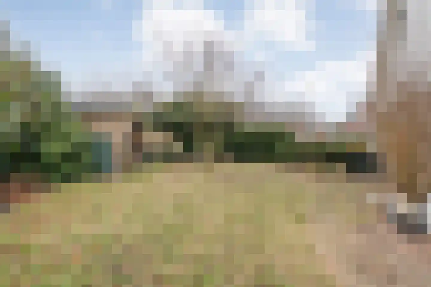 Speenkruid 35 Beilen thumbnail 38