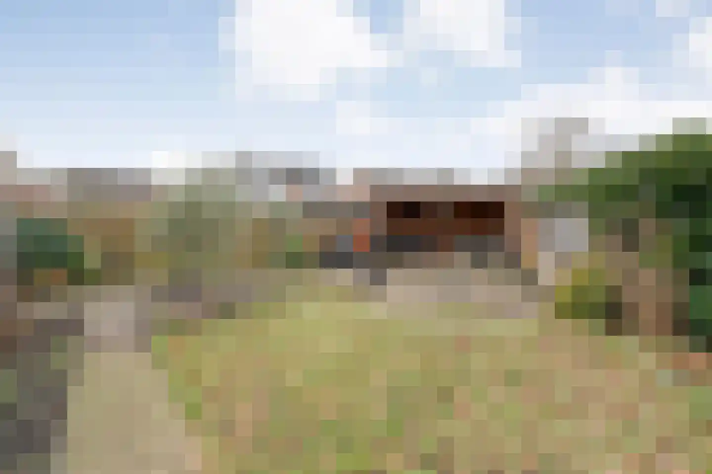 Speenkruid 35 Beilen thumbnail 39