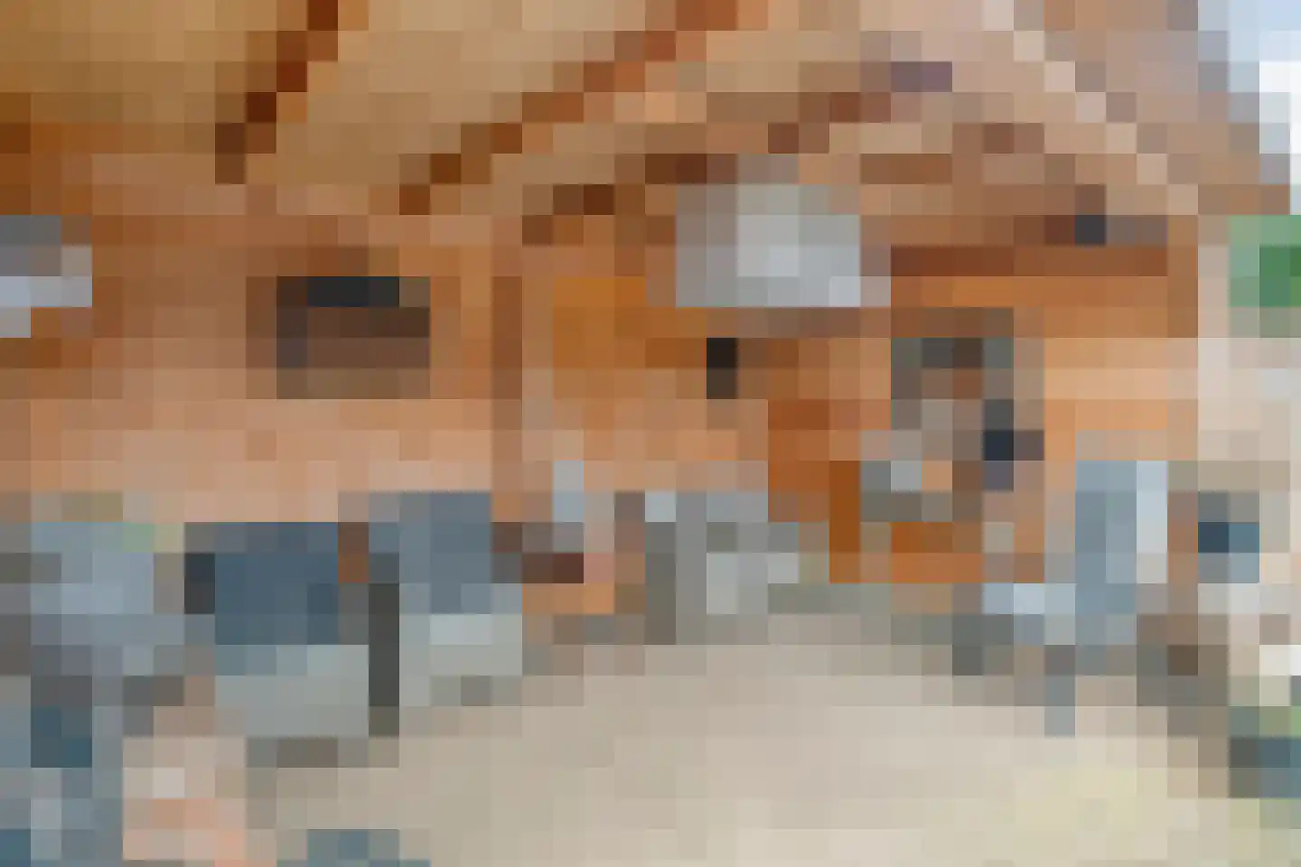 Speenkruid 35 Beilen thumbnail 40