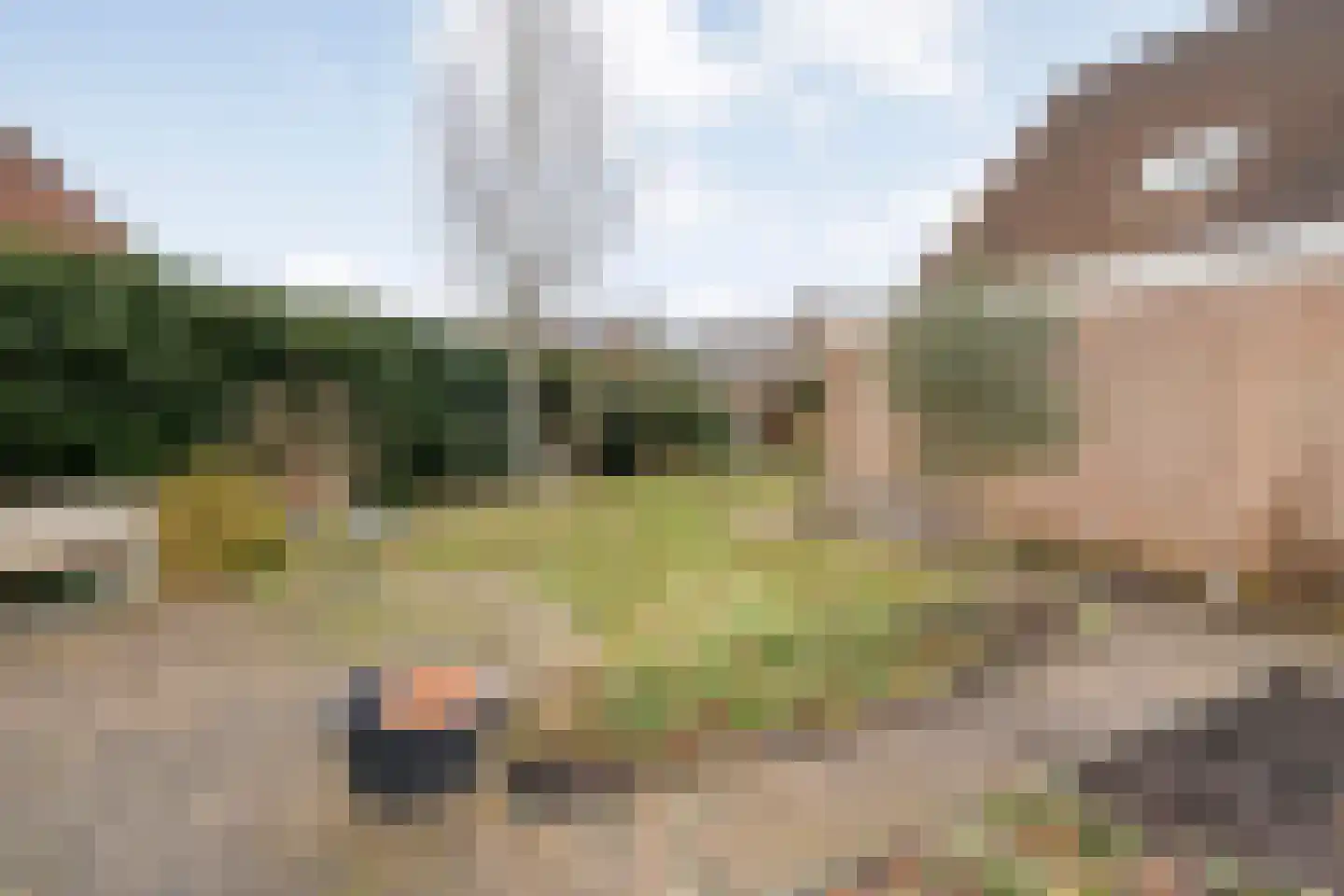 Speenkruid 35 Beilen thumbnail 42