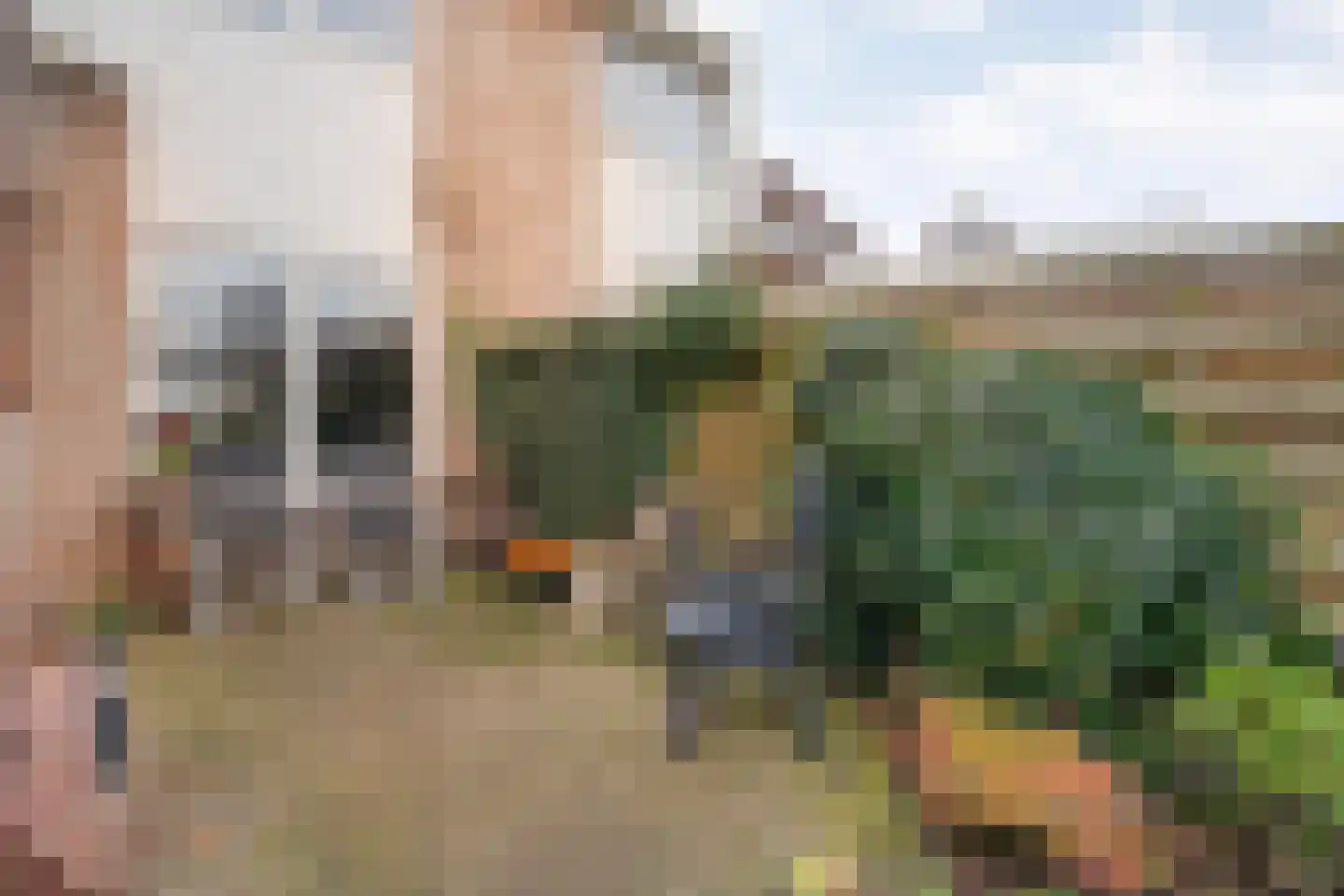 Speenkruid 35 Beilen thumbnail 43