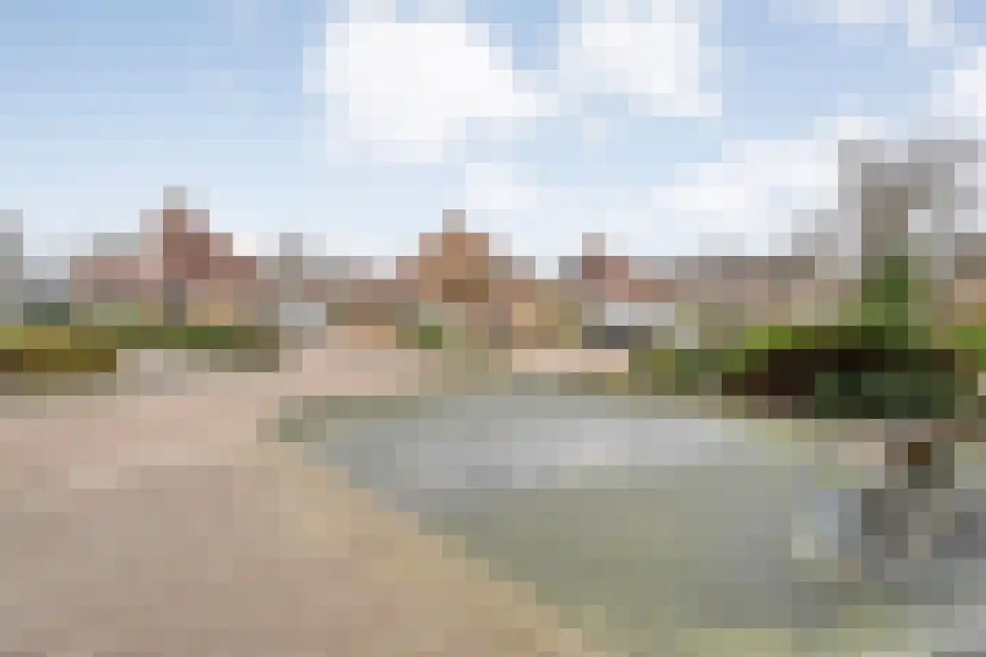 Speenkruid 35 Beilen thumbnail 45