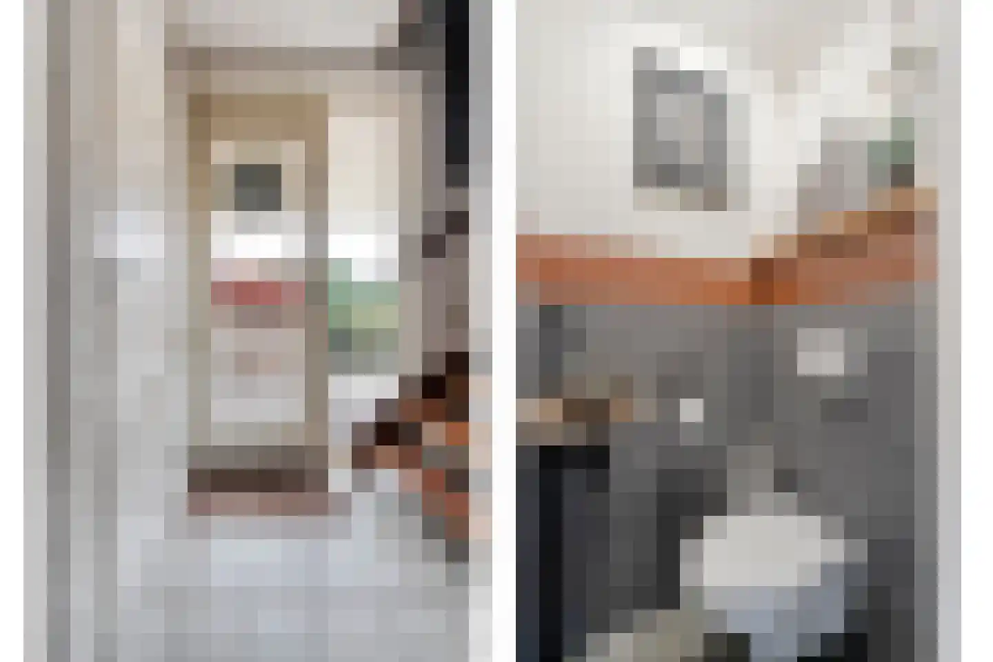 Speenkruid 35 Beilen thumbnail 6