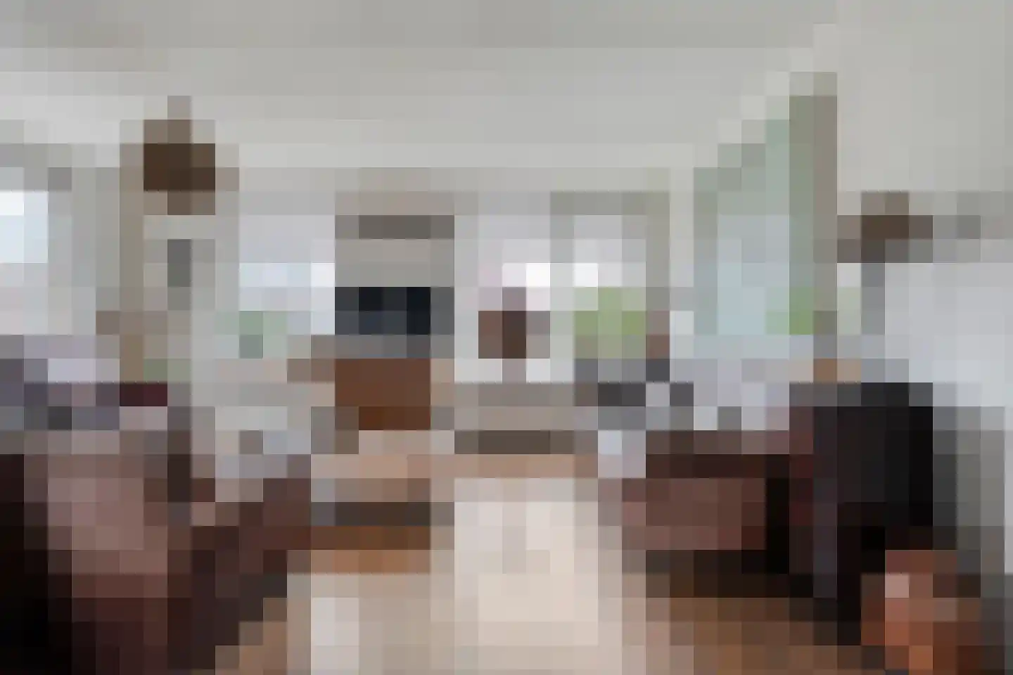 Speenkruid 35 Beilen thumbnail 7