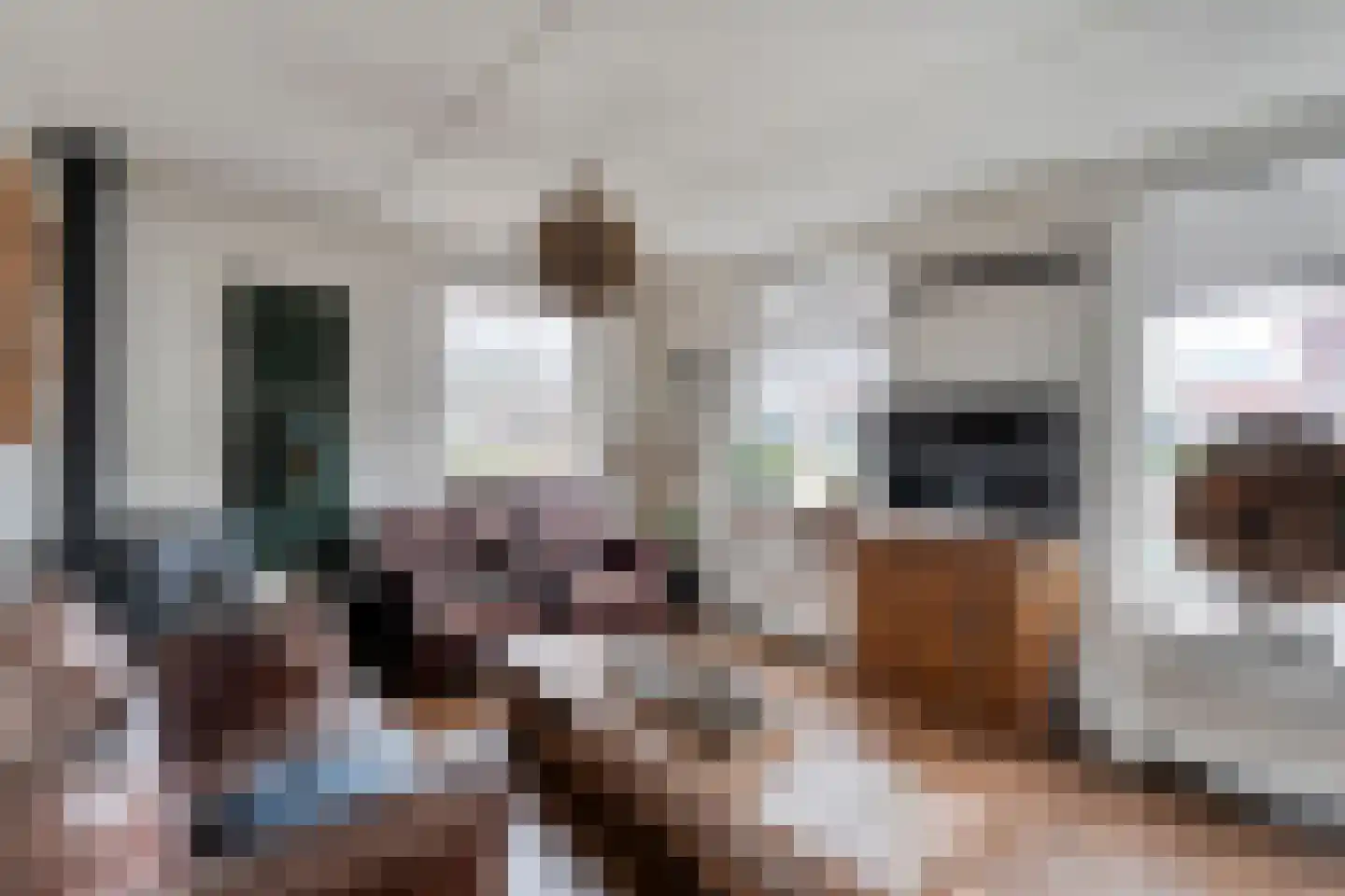 Speenkruid 35 Beilen thumbnail 8