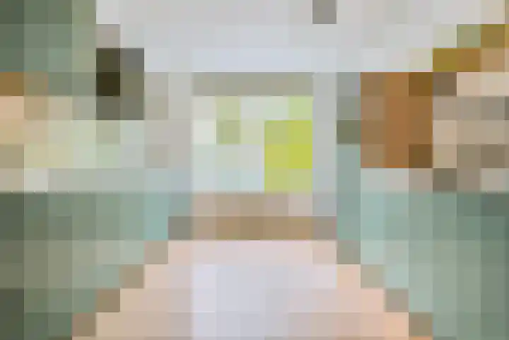 Speenkruid 35 Zeewolde thumbnail 17