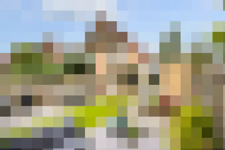 Speenkruid 35 Zeewolde thumbnail 33