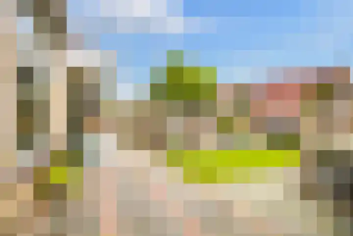 Speenkruid 35 Zeewolde thumbnail 34
