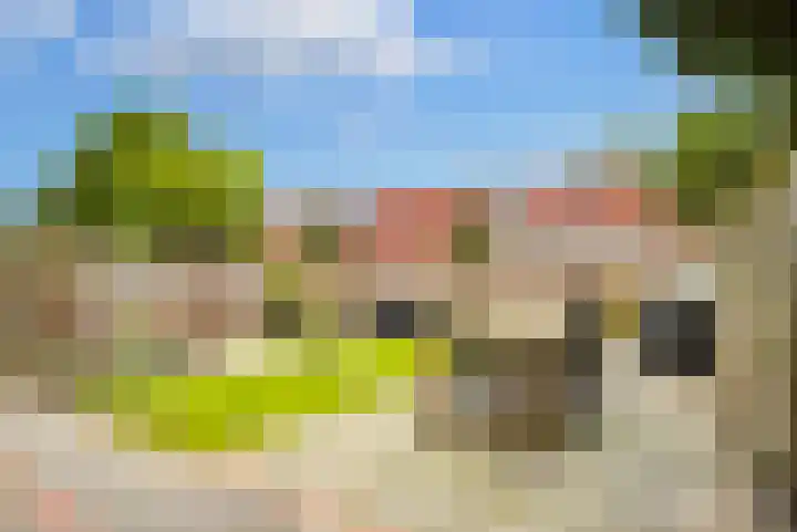 Speenkruid 35 Zeewolde thumbnail 35