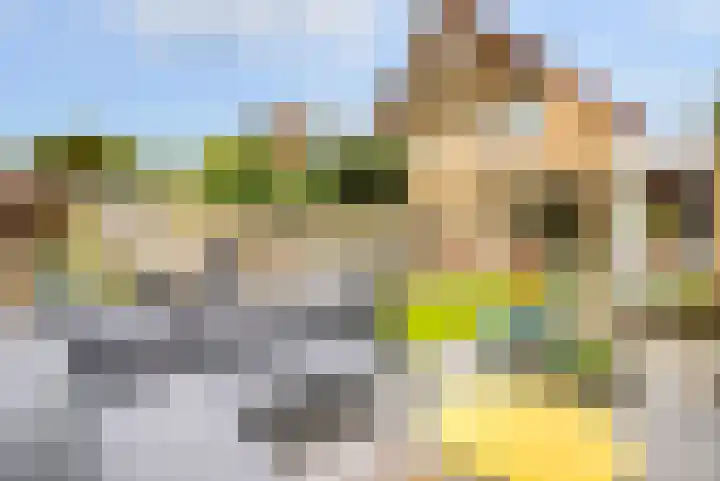Speenkruid 35 Zeewolde thumbnail 36
