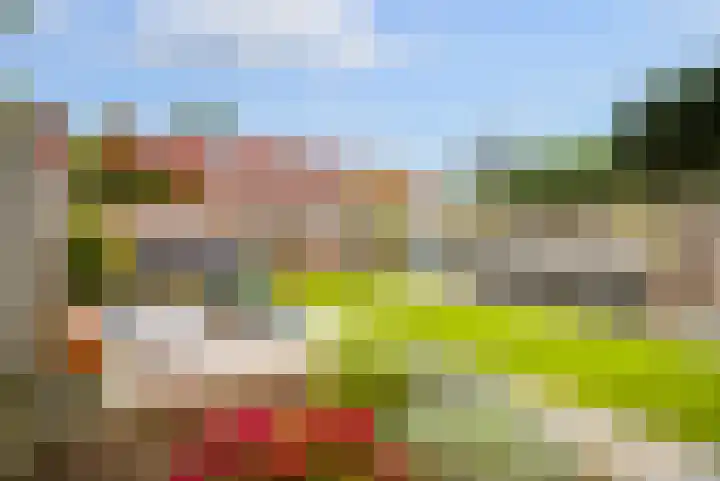 Speenkruid 35 Zeewolde thumbnail 39