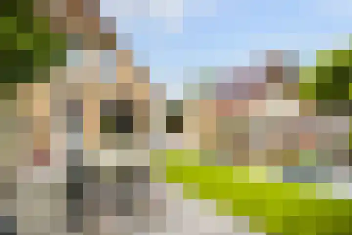 Speenkruid 35 Zeewolde thumbnail 40