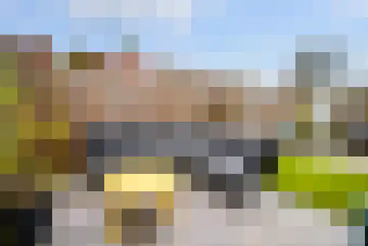 Speenkruid 35 Zeewolde thumbnail 41