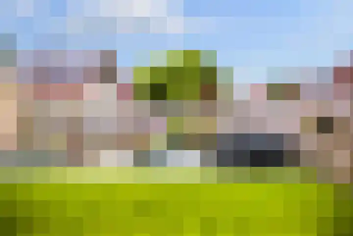 Speenkruid 35 Zeewolde thumbnail 42