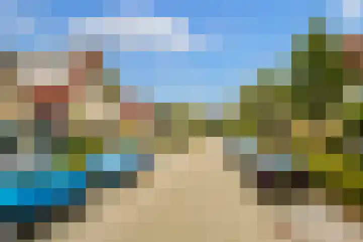 Speenkruid 35 Zeewolde thumbnail 44