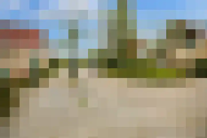 Speenkruid 35 Zeewolde thumbnail 46