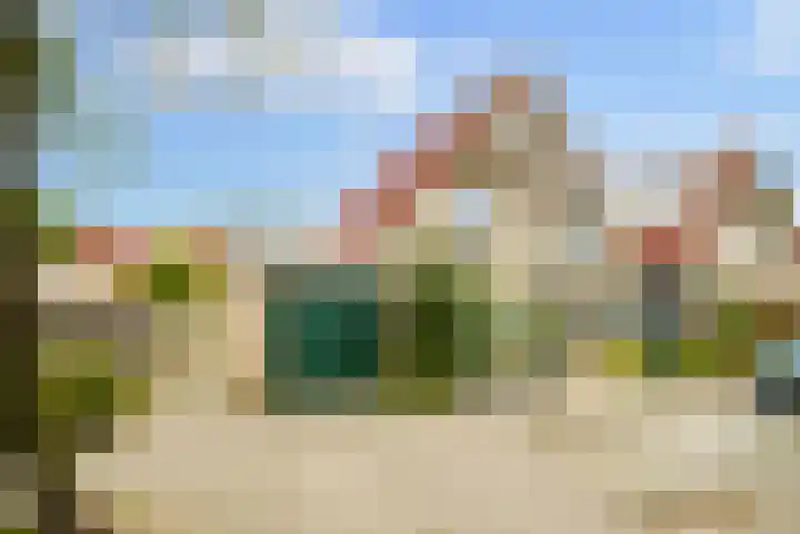 Speenkruid 35 Zeewolde thumbnail 5