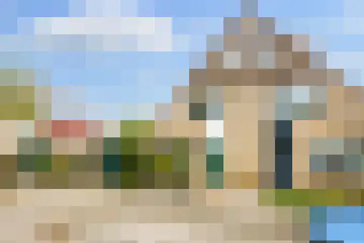 Speenkruid 35 Zeewolde thumbnail 7