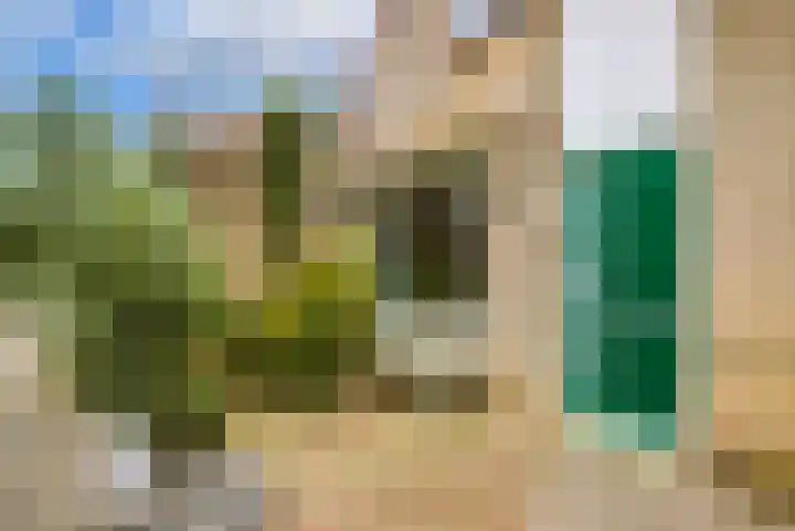 Speenkruid 35 Zeewolde thumbnail 8