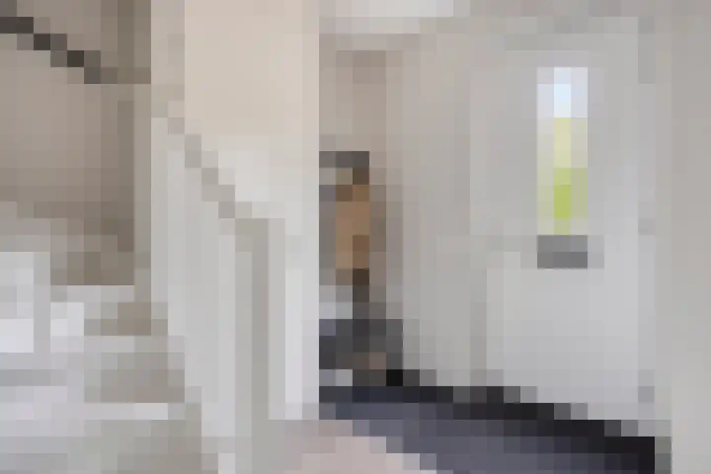 Speenkruid 36 Pijnacker thumbnail 11