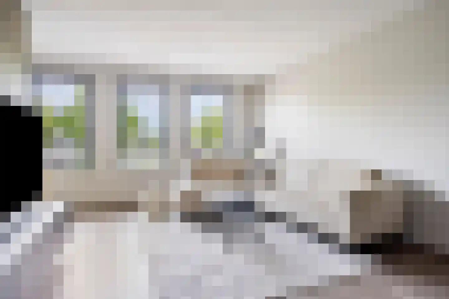 Speenkruid 36 Pijnacker thumbnail 12