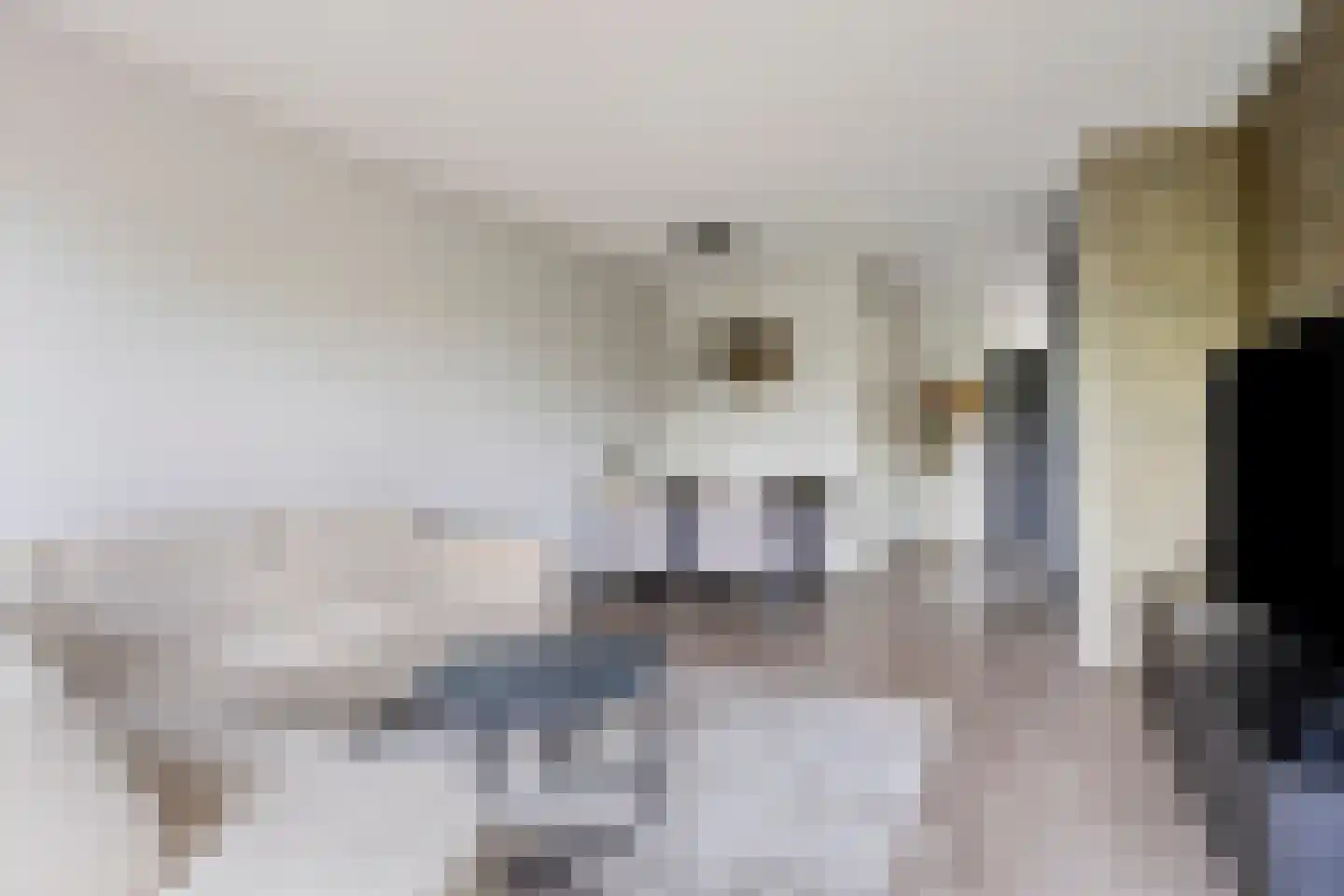 Speenkruid 36 Pijnacker thumbnail 13