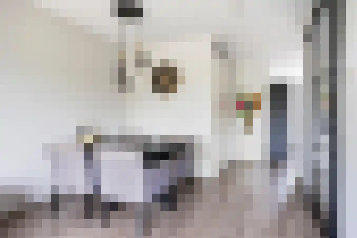 Speenkruid 36 Pijnacker thumbnail 14